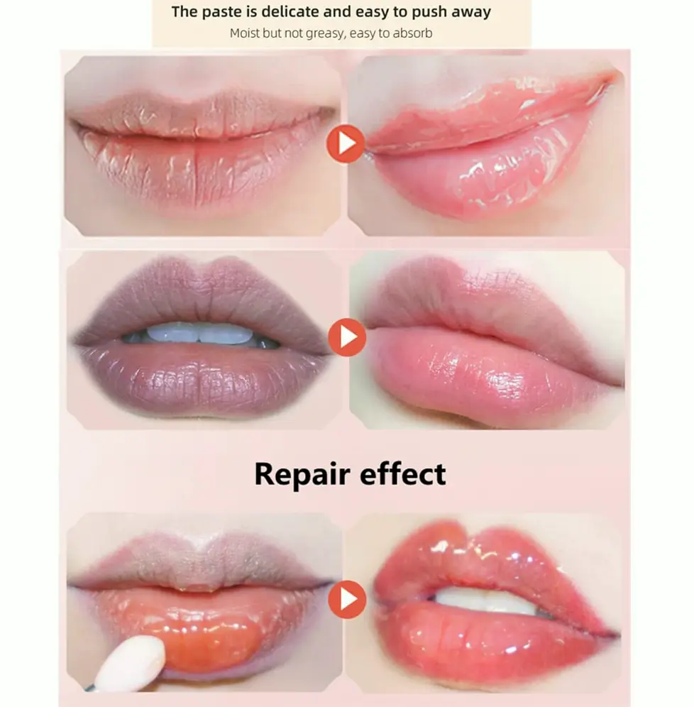 4Pcss Bee Lip Balm Kit