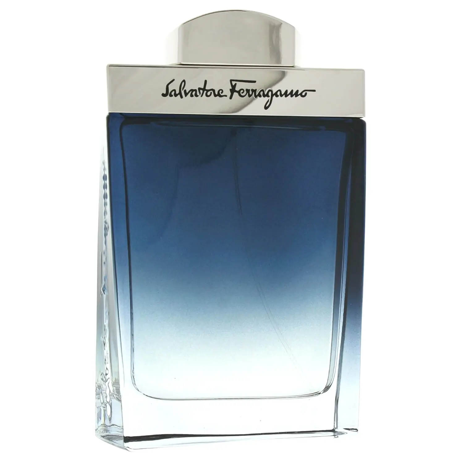 Salvatore Subtle Toilette Spray for Males, 3.4 oz