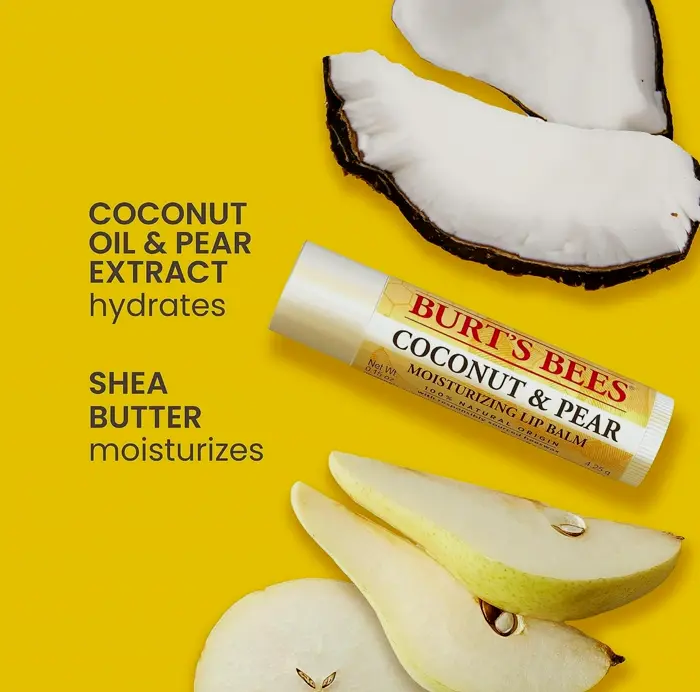 Burt Bees Delicious Lip Balm Quad Set